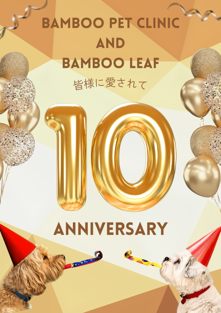 開院10周年＆新店舗オープン記念パーティー